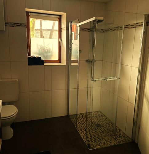 a bathroom with a shower and a toilet at Cottage Hühnerstall in Zülpich