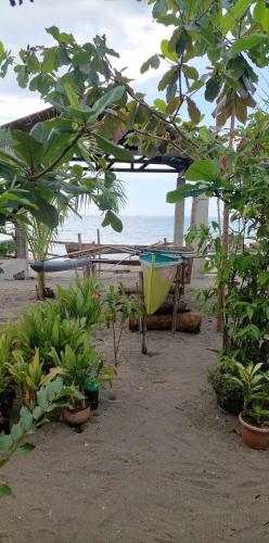 Landskap semula jadi dekat dengan rumah tamu ini