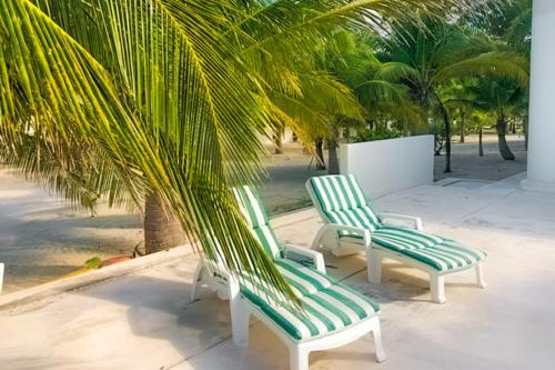 two green and white chairs and a palm tree at Kastelorizo Private Beachfront house in Chicxulub