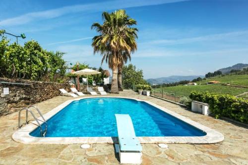 a swimming pool in a villa with a palm tree at Quinta da Padrela Vineyard House in Tabuaço