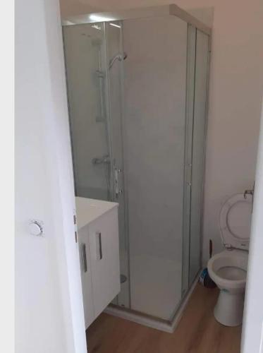 une salle de bain avec douche et toilettes dans l'établissement Studio tout equipé, à Nantes