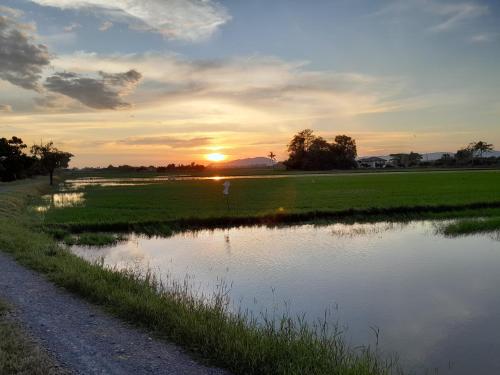 a sunset over a pond in a field at Dmana Homestay Arau Perlis Tiny House in Arau