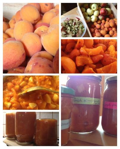 un collage de différentes photos de différents fruits et légumes dans l'établissement Chambres d'Hotes Les Renardieres, à Molineuf