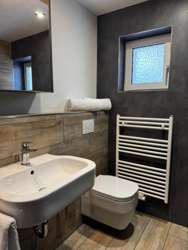 a bathroom with a sink and a toilet and a window at Am Dürrenbachtal in Klingenthal