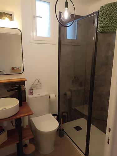 une salle de bain avec une douche avec des toilettes et un lavabo dans l'établissement La petite maison à la campagne !, à Parcé-sur-Sarthe