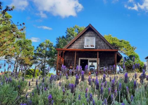 Zahrada ubytování Chalet Provenzal