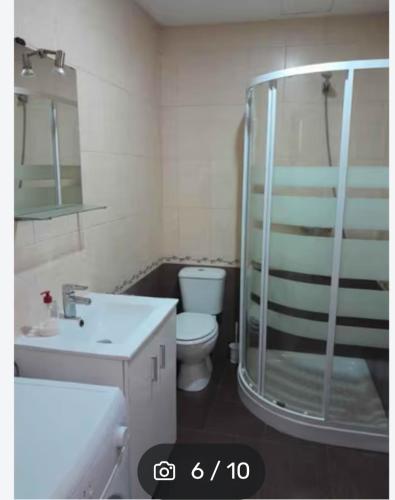 a bathroom with a shower and a toilet and a sink at Apartamentos Miravalles B in Villaviciosa