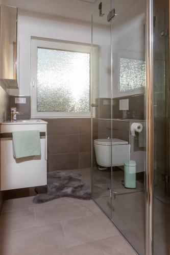 a bathroom with a shower and a toilet and a sink at Ferienwohnung MiA in Frankenau