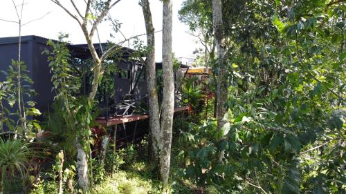 a house in the middle of the forest at Hotel Contenedores Corporativos in Platanal
