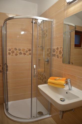 a bathroom with a shower and a sink at Apartment U Karla in Třeboň