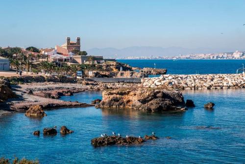 a group of birds standing on rocks in the water at Casa Albatros in Santa Pola