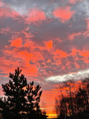 a sunset with a tree and clouds in the sky at Drewniany dom w brzozowisku in Pieszyce