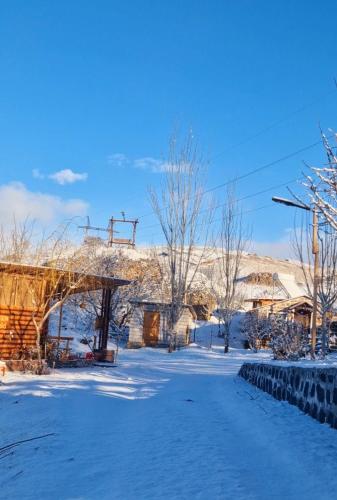 a snow covered street with trees and mountains in the background at GreenField Resort in Yeghegnadzor