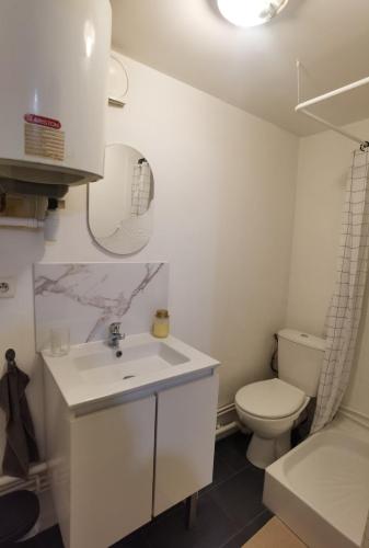 une salle de bain blanche avec des toilettes et un lavabo dans l'établissement Duplex proche Jardins des plantes, à Rouen