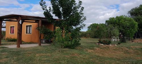 a small house in a field with a tree at Casa de descanso, disfrute y naturaleza in Aiguá