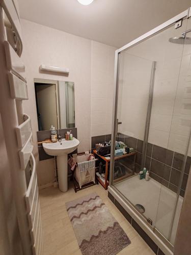 une salle de bain avec douche et lavabo dans l'établissement Appartement 1 chambre privée, à Angers