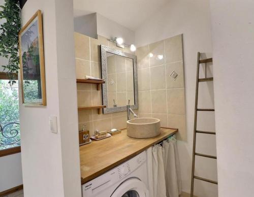 a bathroom with a sink and a washing machine at La bonne adresse de Provence in Cornillon-Confoux