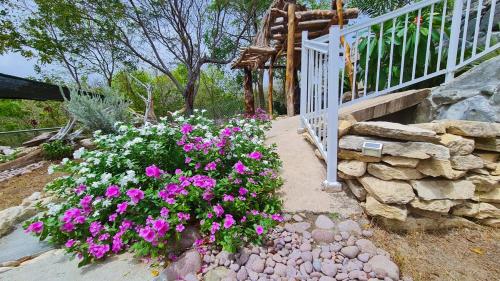a garden with pink flowers and a staircase at GARNET--A gem at DEE'S PEARL in Carriacou