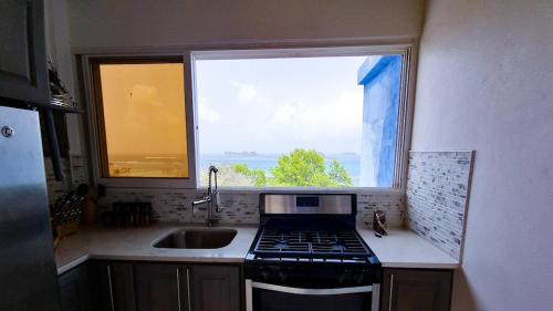 a kitchen with a stove and a sink and a window at GARNET--A gem at DEE'S PEARL in Carriacou