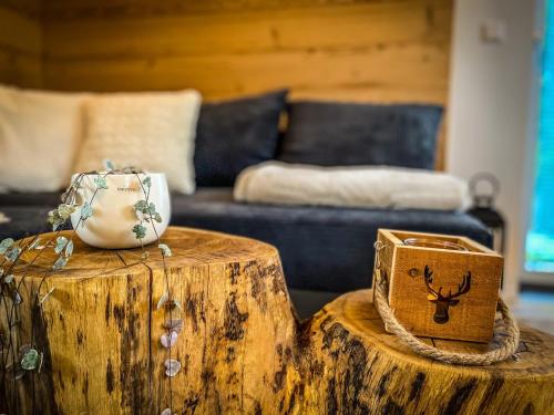 a living room with a wooden stump table with a box at Ferienhaus an der Ybbs 