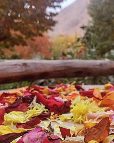 a pile of autumn leaves on the ground at Auberge De La Vallée in Imlil