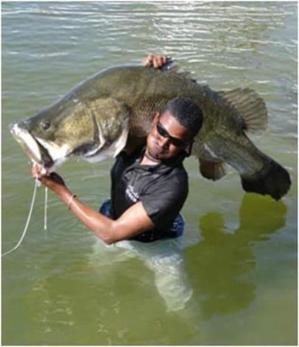 a man holding a large fish in the water at Hllol Hotel Abu Simbel in Abu Simbel