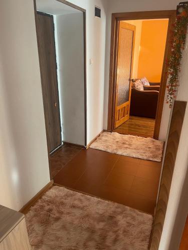 an empty room with a mirror and a hallway at Apartament Gabriela in Vulcan