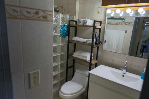 a bathroom with a toilet and a sink and a mirror at Mi estadía in San Juan