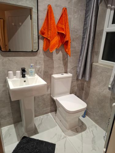 une salle de bain avec toilettes, lavabo et miroir dans l'établissement Valley View 1 (Tourist board registered), à Tamnyrankin