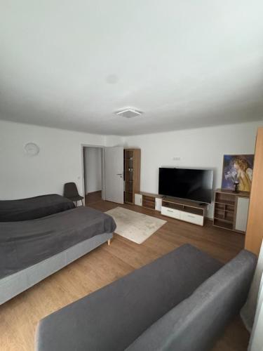 Un dormitorio con dos camas y un televisor de pantalla plana. en 2 Perfekt für jeden Zweck, en Marktredwitz