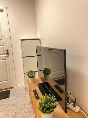 a mirror on a table with two potted plants on it at Elegant Apartment in Kallhäll in Kallhäll