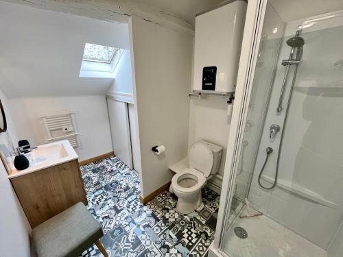 une salle de bain avec une douche, des toilettes et un lavabo dans l'établissement Hypercentre, douillet, vue Loire et vieux Blois, le Sérénity, à Blois