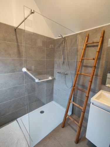 La salle de bains est pourvue d'une douche en verre avec une échelle. dans l'établissement La cachette de Lola, à Beaurainville
