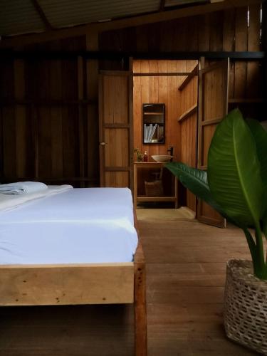a bedroom with a bed and a potted plant at PRIMITIVO LODGE & dive center in Bahía Solano