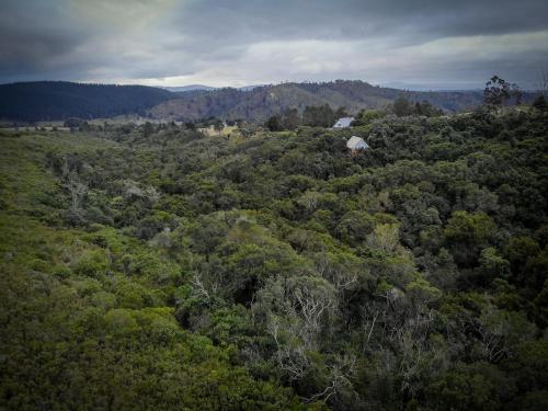 an overhead view of a forest of trees with a barn at Storm's Hollow - Forest Cabin in Wittedrif