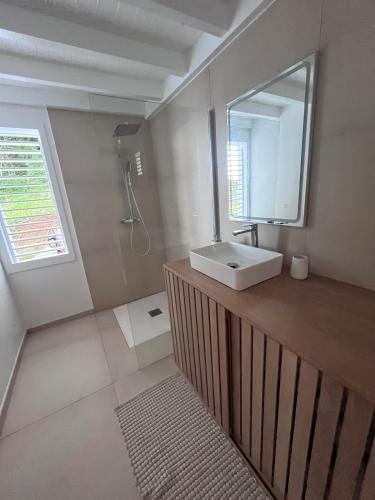 a bathroom with a sink and a mirror at Lakay zot in Le Vauclin