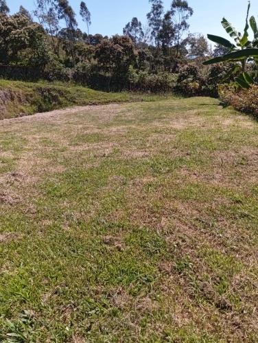 an empty field of grass with trees in the background at Casa campestre con piscina natural in Chipaque