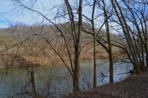 a view of a river with trees in the foreground at Restful River Cabin, Red River Gorge, KY, River Access & Views in Stanton