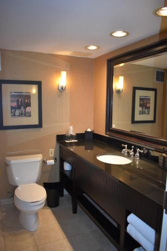 a bathroom with a toilet and a sink and a mirror at Sheraton Lisle Naperville Hotel in Lisle