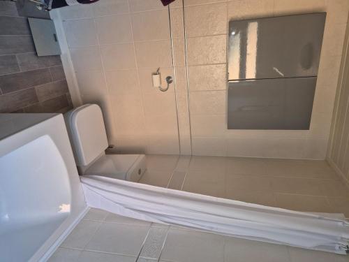 a bathroom with a shower with a toilet and a sink at Newark escape in Newark upon Trent