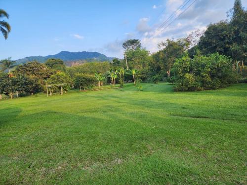 ペレイラにあるFinca de descanso - Combia, Pereiraの木山を背景とした大草原