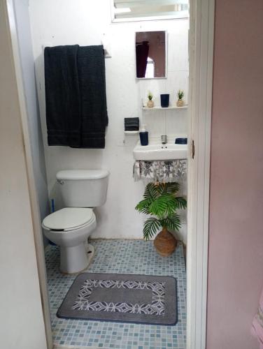 a bathroom with a toilet and a sink at En planta alta a pie de avenida in Cozumel