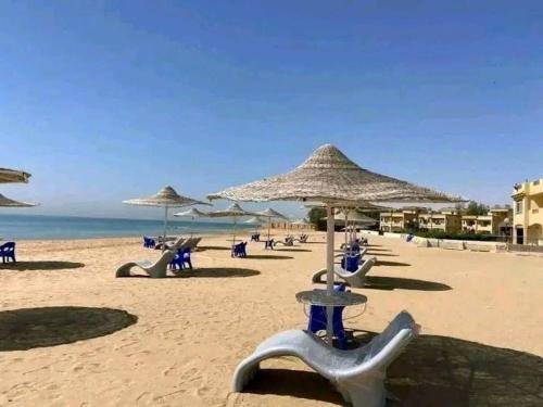 a beach with chairs and umbrellas and the ocean at First row villa on the sea in the village of Aquarius family only in Ain Sokhna