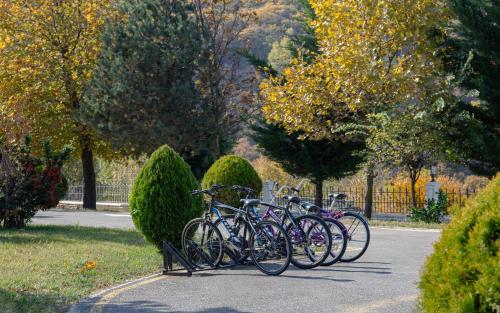 a row of bikes parked in a park at Shamakhi Palace Sharadil in Şǝrǝdil