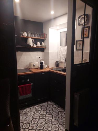 - une petite cuisine avec des placards noirs et un évier dans l'établissement Près du Vicomte, à Maincy