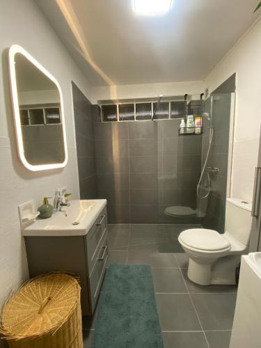 une salle de bain avec toilettes, lavabo et miroir dans l'établissement Bright studio near Paris & La Defense, à Asnières-sur-Seine