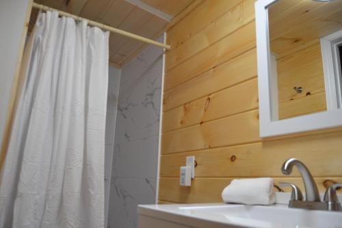 a bathroom with a white sink and a mirror at Campfire Cabin, Red River Gorge, KY, River Access & Views in Stanton