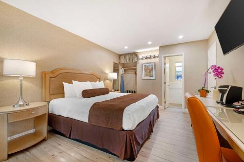 Katil atau katil-katil dalam bilik di Best Western Downtown San Diego