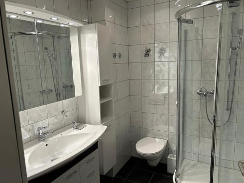 a bathroom with a shower and a sink and a toilet at Apartment with Pool, Sauna & Gym in Laax