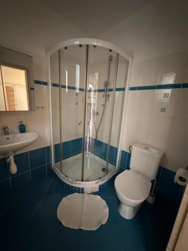 a bathroom with a shower and a toilet and a sink at Penzion 4 Dvory in České Budějovice